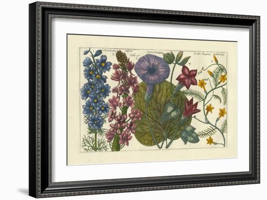 Arena Botanical IV-Arena-Framed Art Print