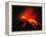 Arenal Erupting-Kevin Schafer-Framed Premier Image Canvas