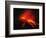 Arenal Erupting-Kevin Schafer-Framed Photographic Print