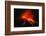 Arenal Erupting-Kevin Schafer-Framed Photographic Print