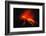 Arenal Erupting-Kevin Schafer-Framed Photographic Print