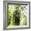 Arenal-Monteverde Protected Forest.-Stefano Amantini-Framed Photographic Print