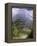 Arenal Volcano, Arenal, Costa Rica-John Coletti-Framed Premier Image Canvas