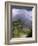 Arenal Volcano, Arenal, Costa Rica-John Coletti-Framed Photographic Print