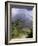 Arenal Volcano, Arenal, Costa Rica-John Coletti-Framed Photographic Print