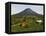 Arenal Volcano from the La Fortuna Side, Costa Rica-Robert Harding-Framed Premier Image Canvas