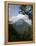 Arenal Volcano from the Sky Tram, Costa Rica-Robert Harding-Framed Premier Image Canvas