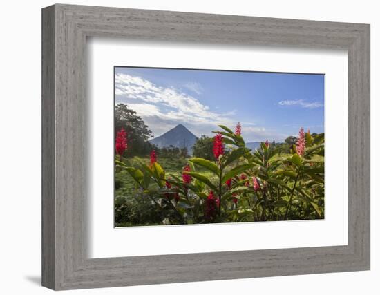 Arenal Volcano in Costa Rica with tropical flowers.-Michele Niles-Framed Photographic Print