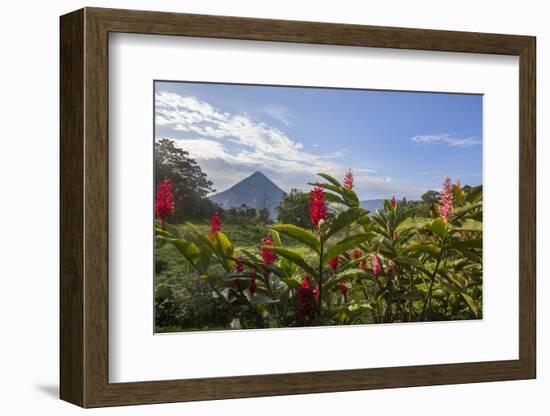 Arenal Volcano in Costa Rica with tropical flowers.-Michele Niles-Framed Photographic Print