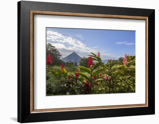 Arenal Volcano in Costa Rica with tropical flowers.-Michele Niles-Framed Photographic Print