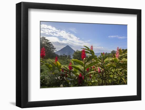 Arenal Volcano in Costa Rica with tropical flowers.-Michele Niles-Framed Photographic Print