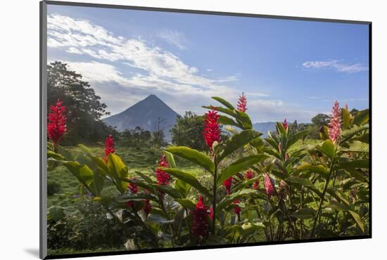 Arenal Volcano in Costa Rica with tropical flowers.-Michele Niles-Mounted Photographic Print