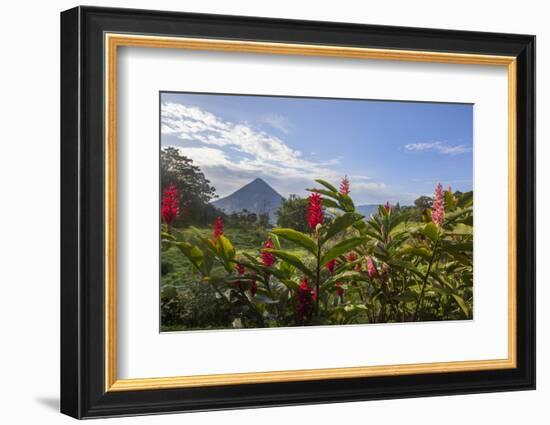 Arenal Volcano in Costa Rica with tropical flowers.-Michele Niles-Framed Photographic Print