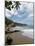 Arenilla Beach, Tayrona National Park, Colombia, South America-Ethel Davies-Mounted Photographic Print