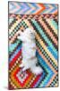 Ares, A Long Haired, White, Doll Face Persian Cat With Bi-Colored Eyes On A Colorful Rug-Ben Herndon-Mounted Photographic Print