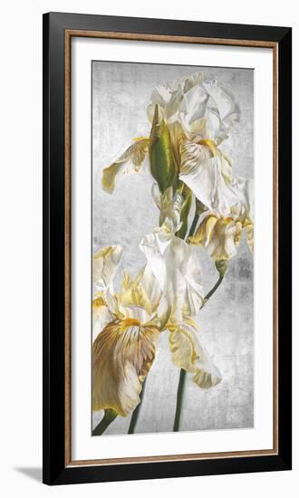 Argent II (right detail)-Sarah Caswell-Framed Giclee Print