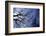 Argentina, Buenos Aires. looking up at the Spring sky in the Bosques de Palermo-Michele Molinari-Framed Photographic Print