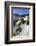 Argentina, Iguazu Falls National Park, (Unesco Site)-Michele Falzone-Framed Photographic Print