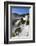 Argentina, Iguazu Falls National Park, (Unesco Site)-Michele Falzone-Framed Photographic Print