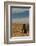 Argentina, Patagonia. Magellanic penguin at Peninsula Valdez.-Howie Garber-Framed Photographic Print