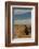 Argentina, Patagonia. Magellanic penguin at Peninsula Valdez.-Howie Garber-Framed Photographic Print