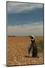 Argentina, Patagonia. Magellanic penguin at Peninsula Valdez.-Howie Garber-Mounted Photographic Print