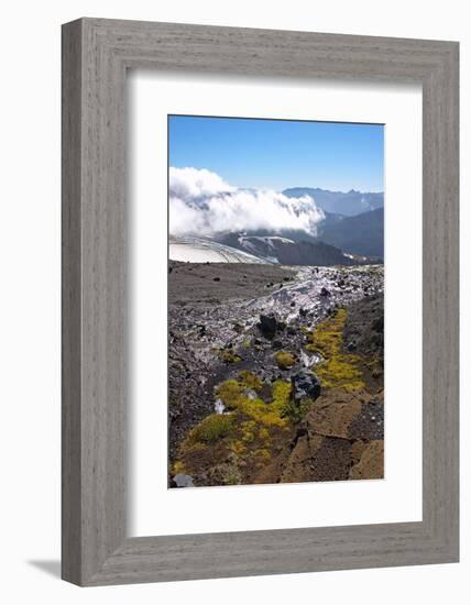 Argentina, Patagonia, the Andes, National Park Nahuel Huapi, Monte Tronador-Chris Seba-Framed Photographic Print