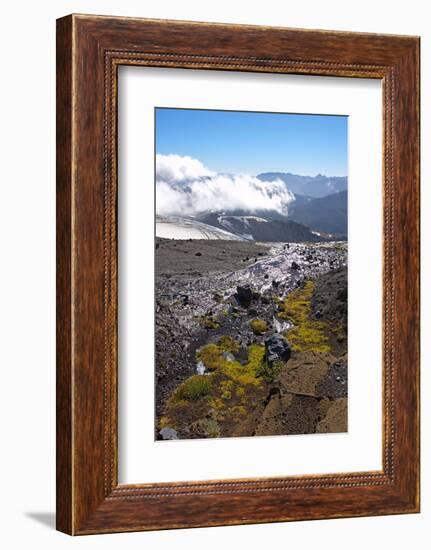 Argentina, Patagonia, the Andes, National Park Nahuel Huapi, Monte Tronador-Chris Seba-Framed Photographic Print