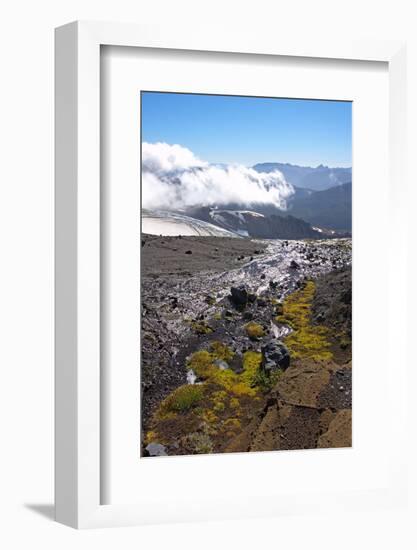 Argentina, Patagonia, the Andes, National Park Nahuel Huapi, Monte Tronador-Chris Seba-Framed Photographic Print