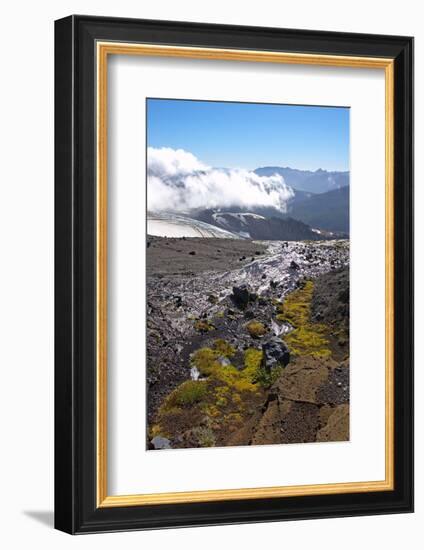 Argentina, Patagonia, the Andes, National Park Nahuel Huapi, Monte Tronador-Chris Seba-Framed Photographic Print