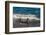 Argentina, Patagonia. Young southern elephant seal in the surf at Peninsula Valdez-Howie Garber-Framed Photographic Print