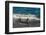 Argentina, Patagonia. Young southern elephant seal in the surf at Peninsula Valdez-Howie Garber-Framed Photographic Print