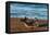 Argentina, Patagonia. Young southern elephant seal on the beach at Peninsula Valdez-Howie Garber-Framed Premier Image Canvas