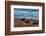 Argentina, Patagonia. Young southern elephant seal on the beach at Peninsula Valdez-Howie Garber-Framed Photographic Print