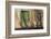 Argentina, Salta, Valles Calchaquies. Shadowed Bike by Green Door-Michele Molinari-Framed Photographic Print