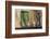 Argentina, Salta, Valles Calchaquies. Shadowed Bike by Green Door-Michele Molinari-Framed Photographic Print