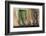 Argentina, Salta, Valles Calchaquies. Shadowed Bike by Green Door-Michele Molinari-Framed Photographic Print