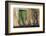 Argentina, Salta, Valles Calchaquies. Shadowed Bike by Green Door-Michele Molinari-Framed Photographic Print