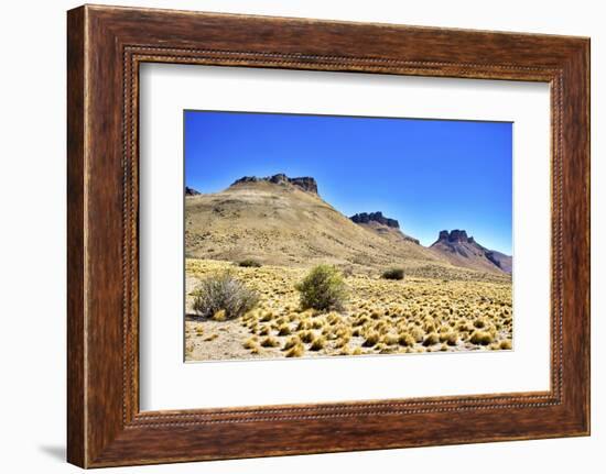 Argentina, Santa Cruz. Alero Charcamata (cave paintings site) and surroundings.-Michele Molinari-Framed Photographic Print