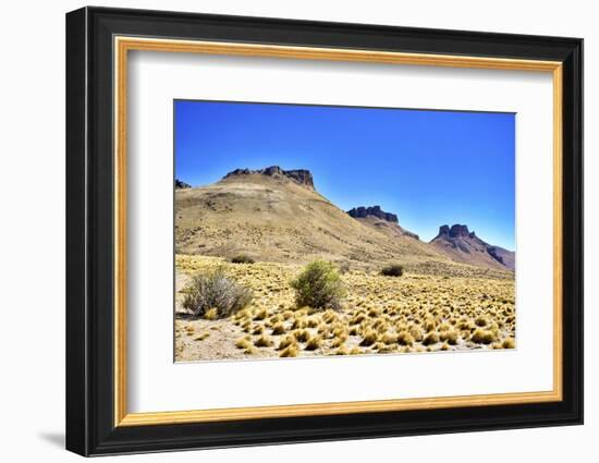 Argentina, Santa Cruz. Alero Charcamata (cave paintings site) and surroundings.-Michele Molinari-Framed Photographic Print