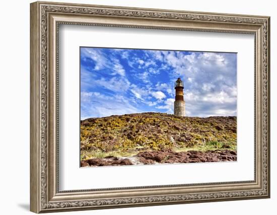 Argentina, Santa Cruz. Puerto Deseado, Penguin Island.-Michele Molinari-Framed Photographic Print