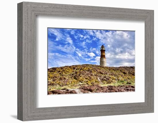 Argentina, Santa Cruz. Puerto Deseado, Penguin Island.-Michele Molinari-Framed Photographic Print