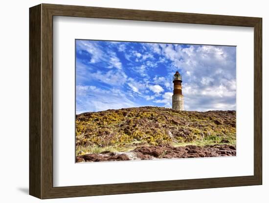 Argentina, Santa Cruz. Puerto Deseado, Penguin Island.-Michele Molinari-Framed Photographic Print