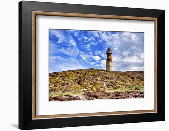 Argentina, Santa Cruz. Puerto Deseado, Penguin Island.-Michele Molinari-Framed Photographic Print