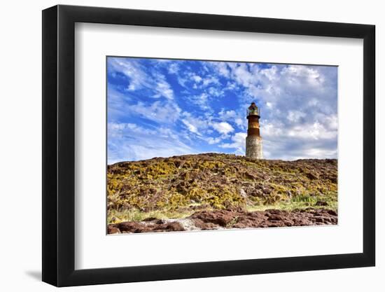 Argentina, Santa Cruz. Puerto Deseado, Penguin Island.-Michele Molinari-Framed Photographic Print