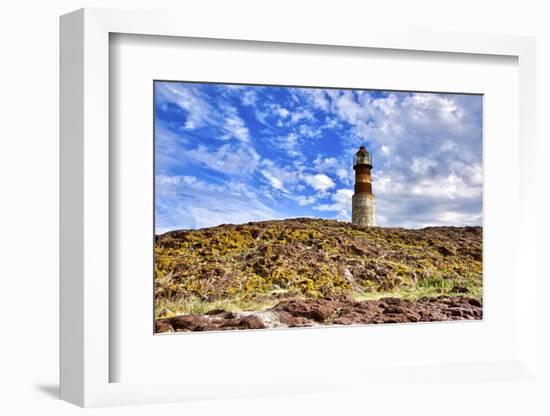 Argentina, Santa Cruz. Puerto Deseado, Penguin Island.-Michele Molinari-Framed Photographic Print