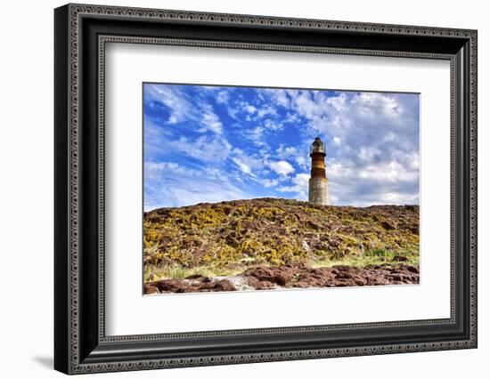 Argentina, Santa Cruz. Puerto Deseado, Penguin Island.-Michele Molinari-Framed Photographic Print