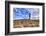 Argentina, Santa Cruz. Puerto Deseado, Penguin Island.-Michele Molinari-Framed Photographic Print