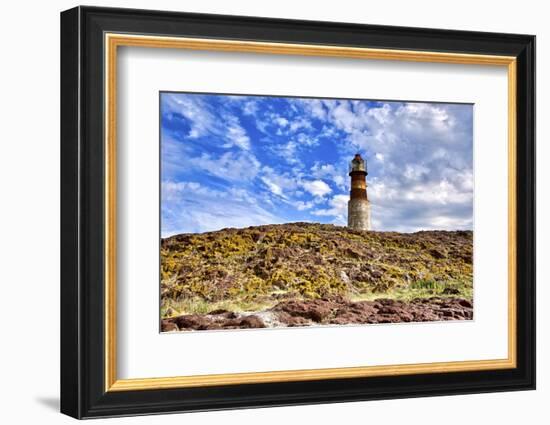 Argentina, Santa Cruz. Puerto Deseado, Penguin Island.-Michele Molinari-Framed Photographic Print