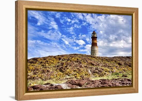 Argentina, Santa Cruz. Puerto Deseado, Penguin Island.-Michele Molinari-Framed Premier Image Canvas